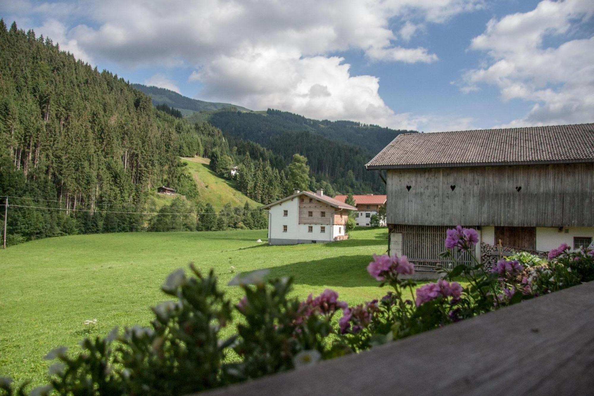 Gaestehaus Fohringer Kelchsau المظهر الخارجي الصورة